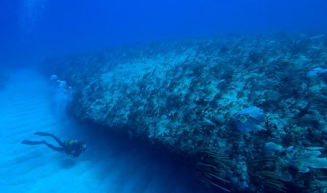 Nord guadeloupe 06.jpg